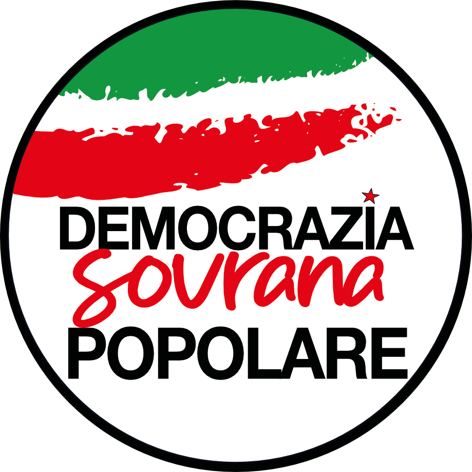 DSP LOGO PNG